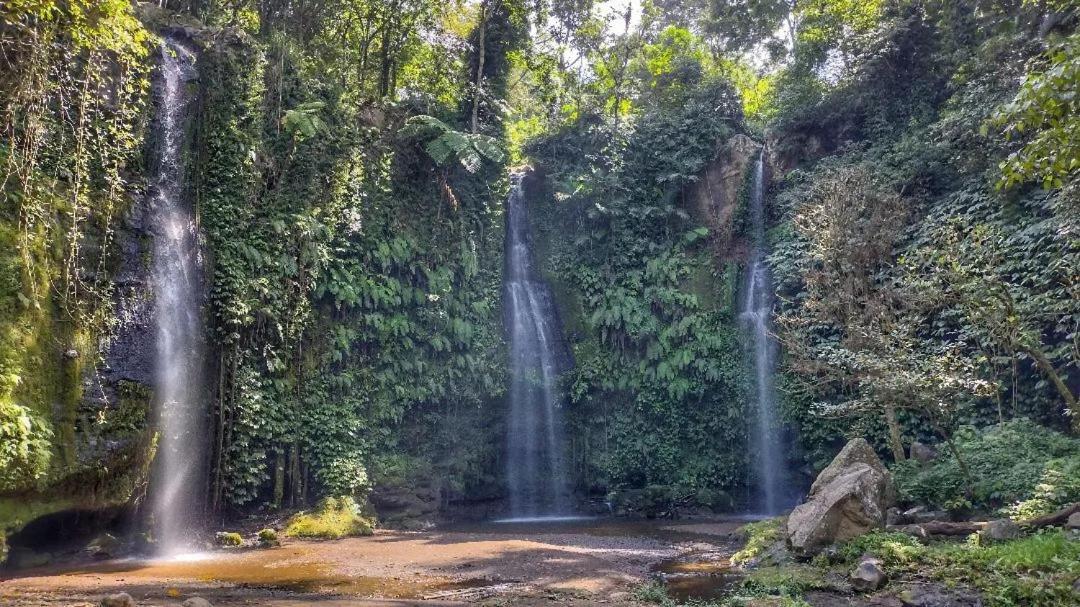 Tetebatu Mountain View Homestay Exteriér fotografie