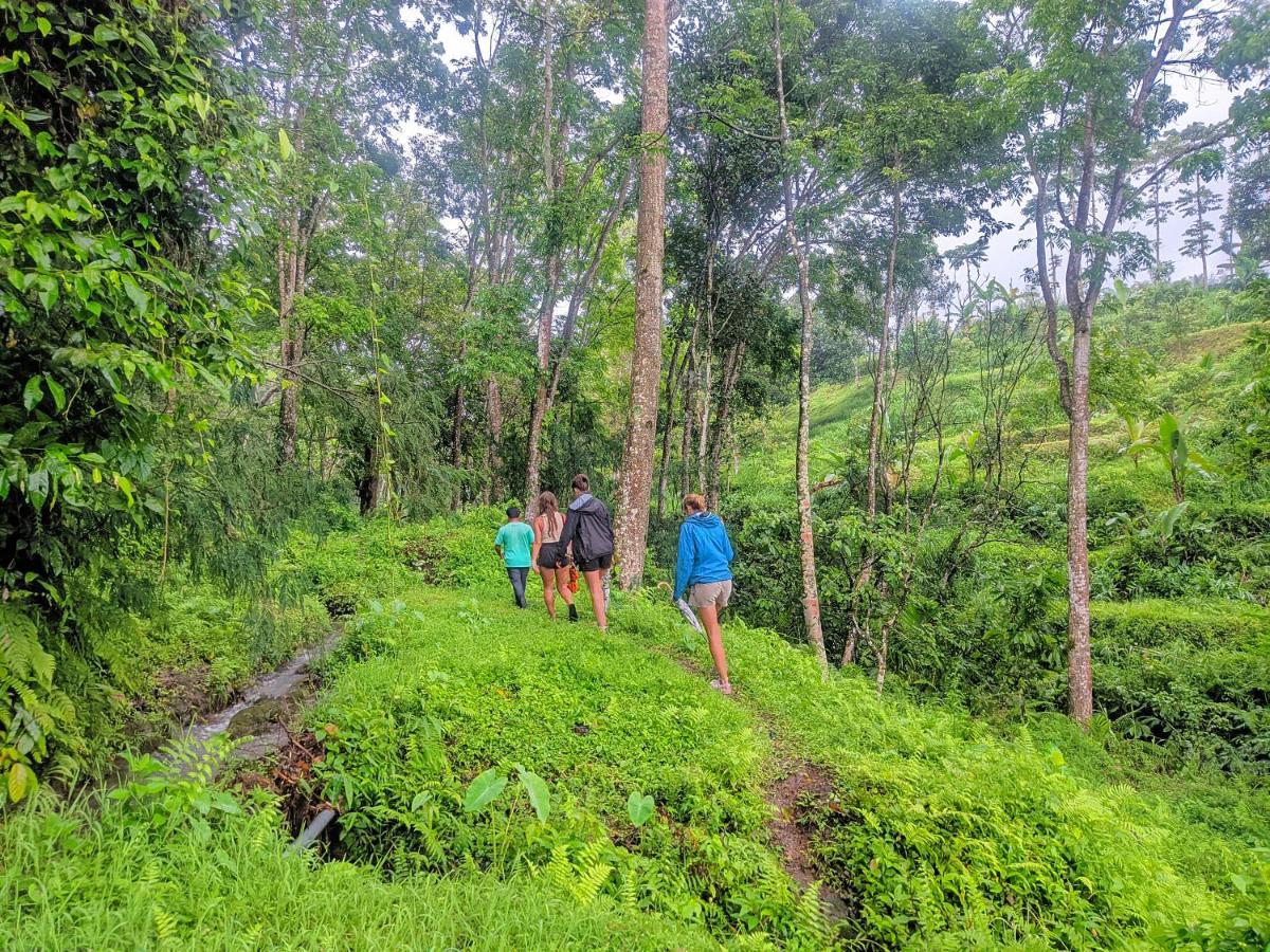 Tetebatu Mountain View Homestay Exteriér fotografie