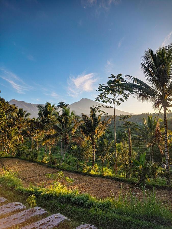 Tetebatu Mountain View Homestay Exteriér fotografie